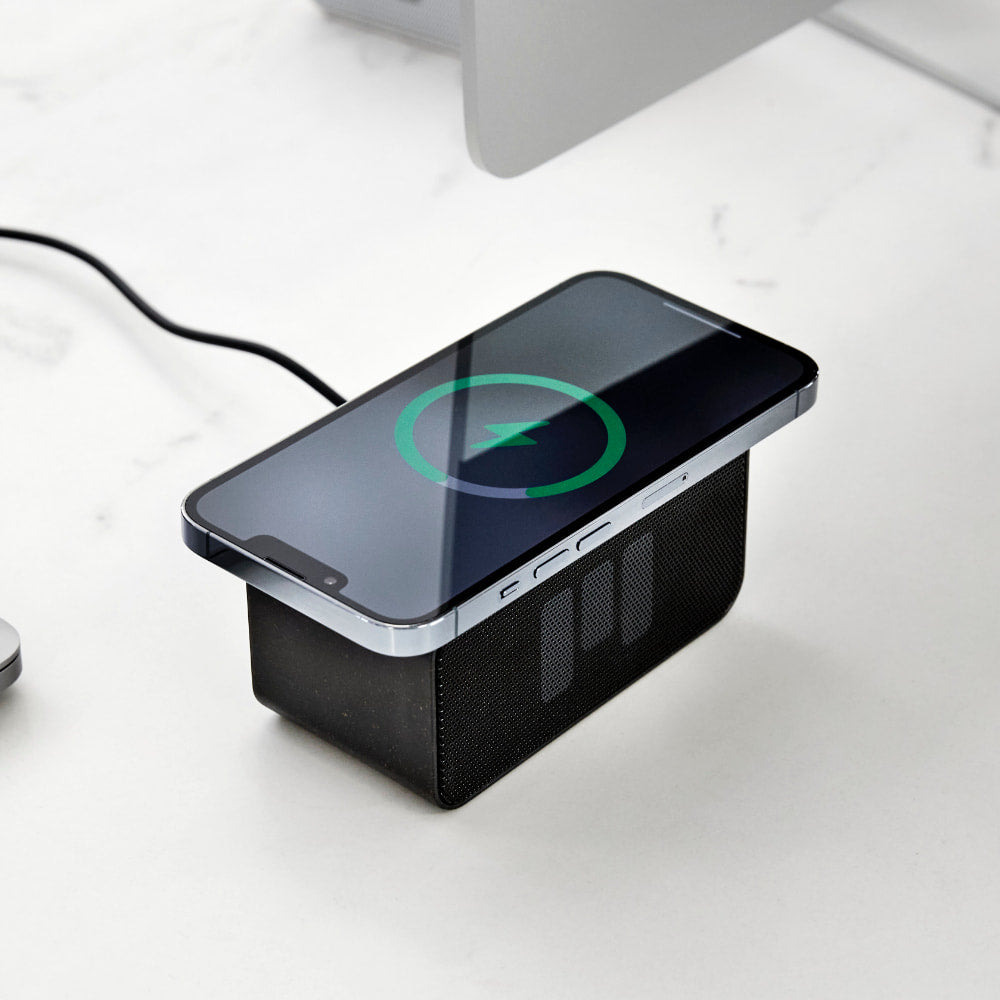 CHARGE&PLAY MINI Black