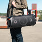 MiiSOUND GIGANT + 2 Mikrofoner