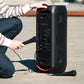 MiiSOUND GIGANT + 2 Mikrofoner
